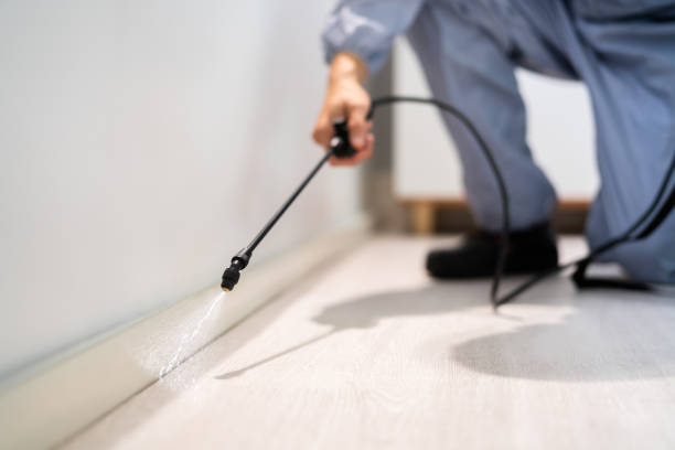 Licensed Pest Control service in Philipsburg, MT - Show Me Pest Control