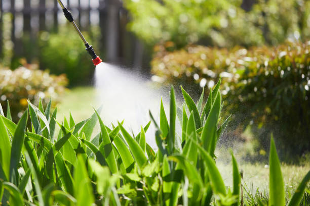 24/7 Emergency Mosquito Control experts in Philipsburg, MT