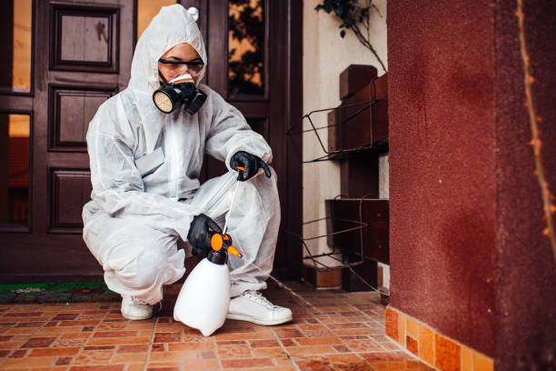 Reliable Mosquito Control contractor in Philipsburg, MT by Show Me Pest Control